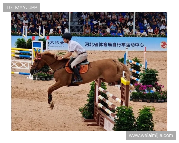 中国马术冠军杯赛邯郸站燃情启幕 顶级赛事点亮古城